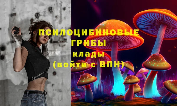 скорость Кинешма